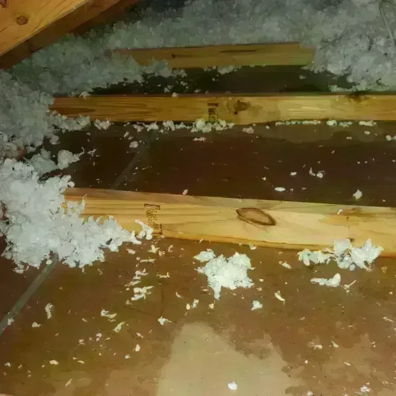 Attic Water Damage in Wayne County, NC