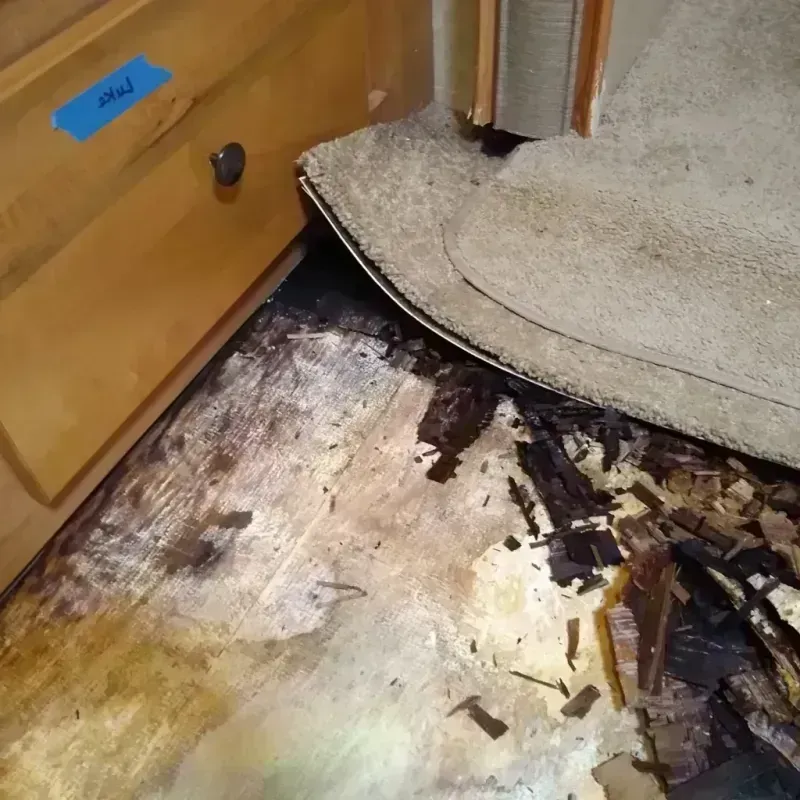 Wood Floor Water Damage in Wayne County, NC